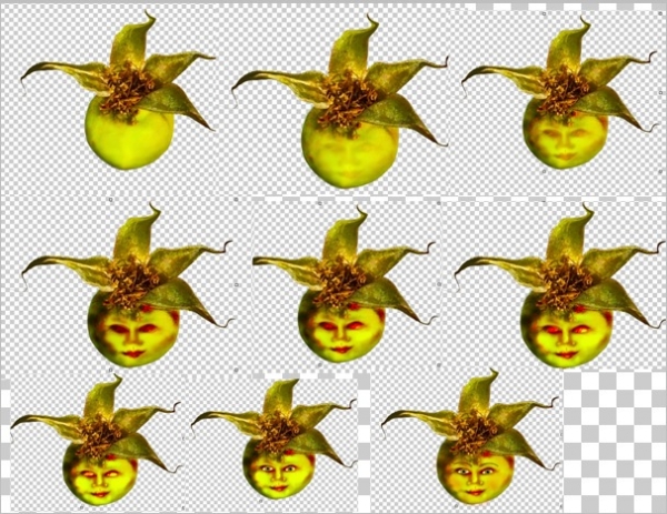 Creation of RoseFairies: Step 2